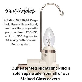 Switchables Glass Cover: Ruby Throated Hummingbird