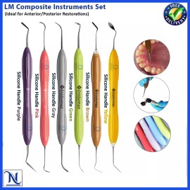 INSTUMAX® LM Arte Set of 6 Composite Filling & Restorative Instrument Silicone Handle