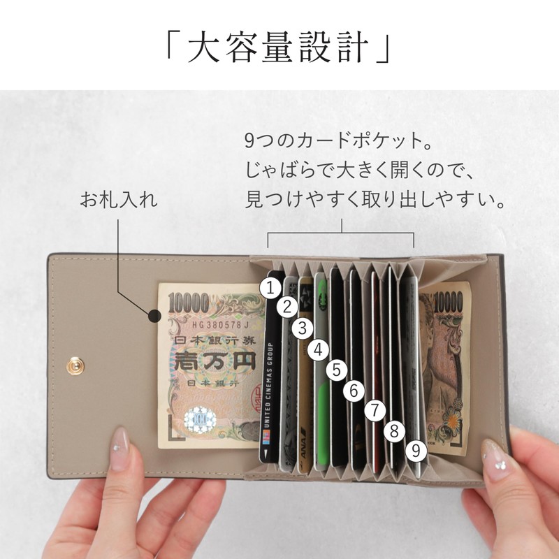LASIEM Card Case, 12 Colors x Bicolor to Choose From,
