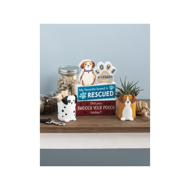 Ganz Garden Accents - Classy Planter for Home, Office and