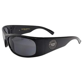 Fly Ballistics 2 / Safety Glass