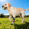HAPPYHAO Dog Knuckling Brace, Dog Toe Grips for Wrist Arthritis,