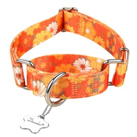 Dazzber Martingale Collar Dog Collar No Pull Pet Collar Heavy Duty Dog Martingale Collars Silky Soft with Unique Pattern for Medium and Large Dogs (Medium, 1 Inch Wide, Daisy)