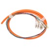 Fiber Pigtail 12 Strand Multimode Stable Fiber Pigtail Cable for