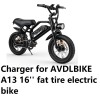 coming data fast Charger for AVDLBIKE A13 16'' fat tire