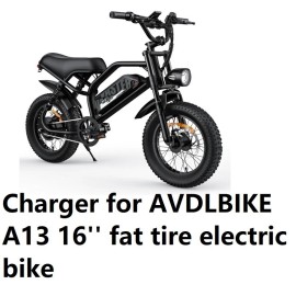 coming data fast Charger for AVDLBIKE A13 16''  fat tire electric bike A2