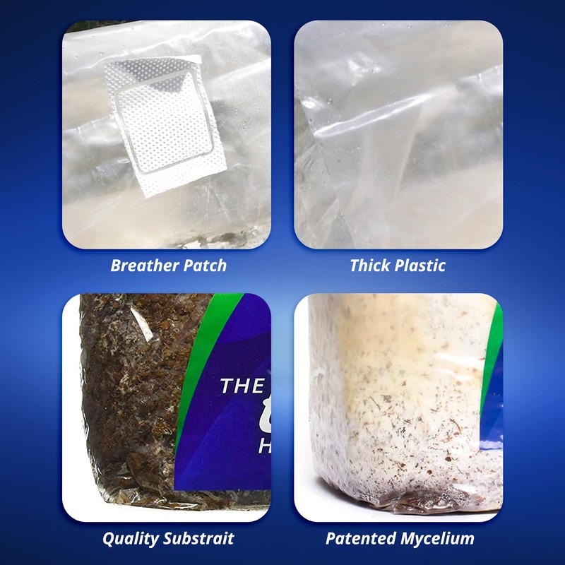 ExHale Homegrown CO2 365 - Self-Activated Bag for Grow Rooms