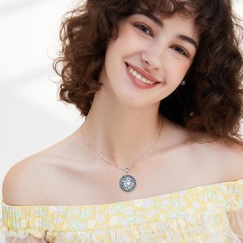 YAFEINI Viking Necklace 925 Sterling Silver Viking Sun Nordic Pendant Abalone Shell Jewellery Gift for Women Men