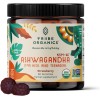 TRIIBE 60 Gummies Tribe Organics Ashwagandha KSM-66 Gummies for Kids/Teens