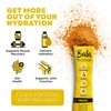 BALA BALA Enzyme Hydration & Sugar-Free Electrolyte Drink Mix -