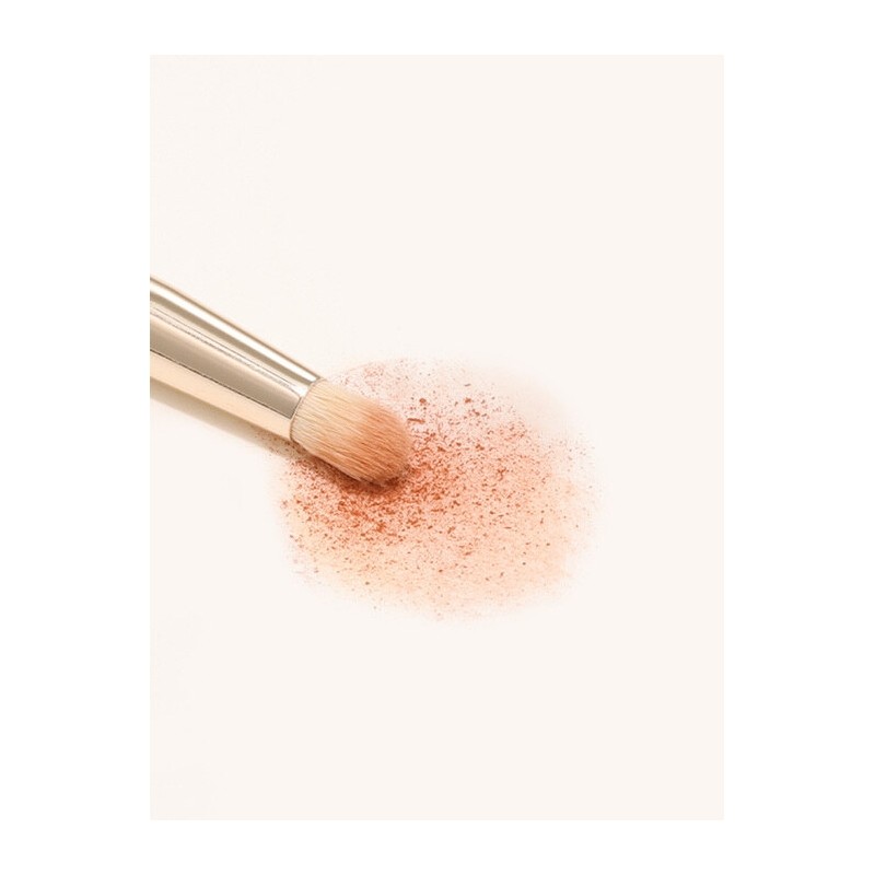 [Smooth Blending] The Tool Lab 204 Blending Eye Shadow Small