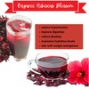 Hibiscus Blossom Tea | Organic | True Leaf Tea |
