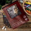 Bee Paper Coquille Stipple - Textured Drawing Paper - 23