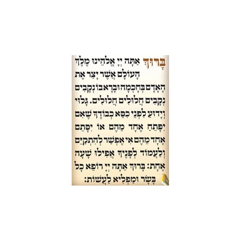 Judaica Place Asher Yatzar Laminated Card 5" x 7.5"