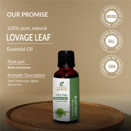 Sheer Essence Lovage Leaf Oil (Levisticum Officinalis) Essential Oil 100% Pure Natural Undiluted Uncut Therapeutic Grade Oil 1.01 Fl.OZ