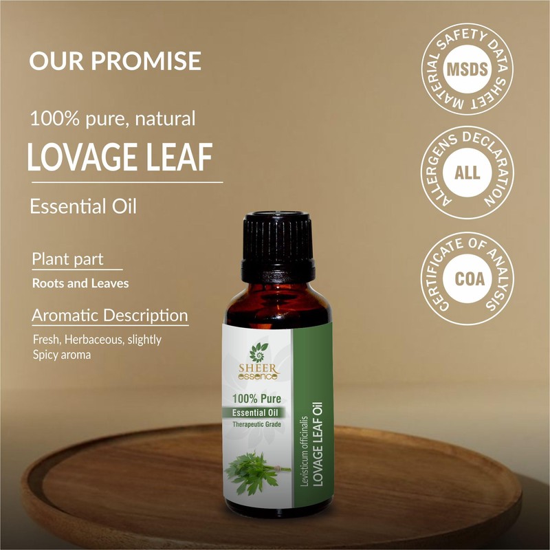 Sheer Essence Lovage Leaf Oil (Levisticum Officinalis) Essential Oil 100%