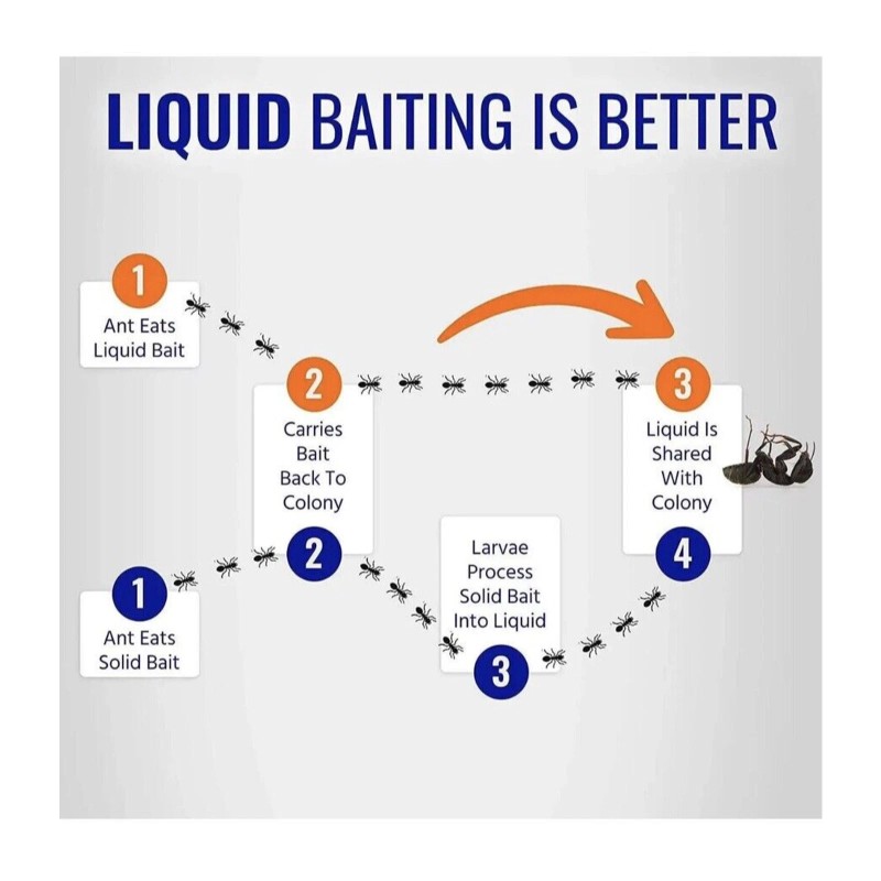 TERRO 2 PACK TERRO Liquid Ant Bait Ant Killer 6
