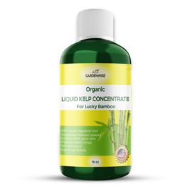 GARDENWISE Organic Premium Kelp Seaweed Fertilizer for Lucky Bamboo - Liquid Fertilizer - Hydroponics Fertilizer - Liquid Plant Food - Soil Enhancer - Natural Plant Food for Lucky Bamboo (16 OZ)