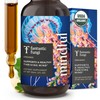 Fantastic Fungi Tintura de Hongos Orgánicos - Elixir de Conciencia