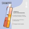 LATINA® | Shampoo Cacao - Nutri-Reparador | Shampoo Sin Sulfatos