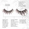 Ardell 3D Faux Mink Lashes 865 - Lightweight, Reusable, Wispy