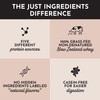JUST INGREDIENTS Coconut Chocolate Protein Powder – 30-Serving Blend with