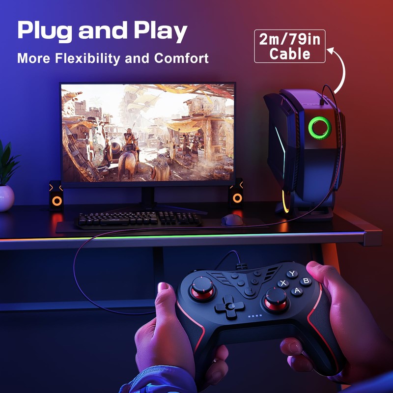 RivalPlay Controller for PC with 2-Button Mapping Wired Gamepad Compatible