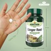 Natures Aid Ginger Root 500 mg 90 Tablets (Botanical Supplement,