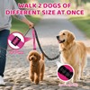 Double Dog Leash Coupler-360° Swivel, No Tangle Dual Walking Leash