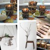 LAZACA Wooden Sticks Crafts Twigs for Crafting Natural Wood Unfinished