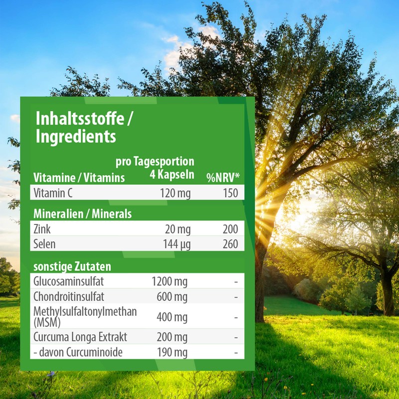 Mein Vita Joint Formula – Hochdosiert – Joint Supplement with