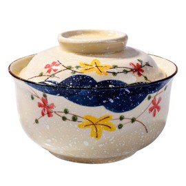 Fignner Japanese Style Ceramic Ramen Bowl with Lid Soup Bowls Noodle Bowl with Lid