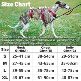 PAWORLD Escape Proof Dog Harness Medium, Anti Pull Large Dog Harness, Breathable 3 Point Greyhound Harness, Durable Front Clip Vest for Small Dogs, Outdoor Walking Training (Rose Red, M)