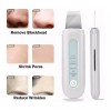 FanShen Scrubber, Ems, Eliminación Del Acné, Facial 3 Kit