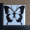 Butterfly Decal 4 Pack: Butterflies, Butterfly Heart, Detailed Butterflies (Black,