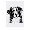'Border Collie Portrait' Temporary Tattoo - Water Resistant, Skin-Safe, Non-Toxic