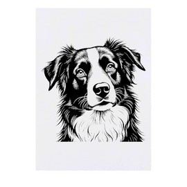 'Border Collie Portrait' Temporary Tattoo - Water Resistant, Skin-Safe, Non-Toxic Transfer (TO00080727)