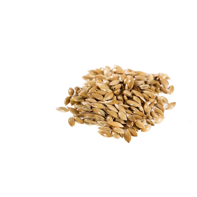 Raw Garden Canary Seed (Alpiste) (1 Pack 4 lbs) For