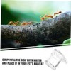 BESPORTBLE 2Pcs Ant Feeder Station Reptile Water Bowl Acrylic Pet