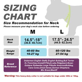 TSPRO Premium Gradient Dog Collar with Handle Thick Dog Collar Adjustable Dog Collar Heavy Duty Quick-Release Metal Buckle Dog Collar for Medium to Large Dogs (Rainbow - L)