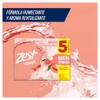 Zest Jabón de Tocador, Toronja/Albahaca, 90 gr, Paquete de 5