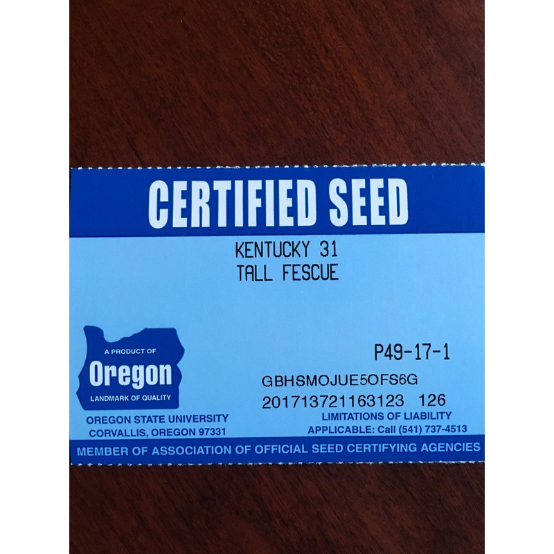 Kentucky 31 K31 Tall Fescue Grass Seed by Eretz -
