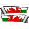 Pair 290mm Rolled Ripped Tear Torn Metal Effect Welsh Dragon