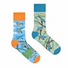 Spox Sox Casual Unisex Funny Crazy Colourful Socks for Men