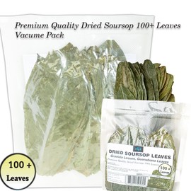 Dried Soursop Leaves for Herbal Tea, Whole Guanabana Graviola Leaves, 100+ Leaves, Caffeine-Free, Vacuum-Sealed Pack, Rich in Antioxidants and Nutrients
