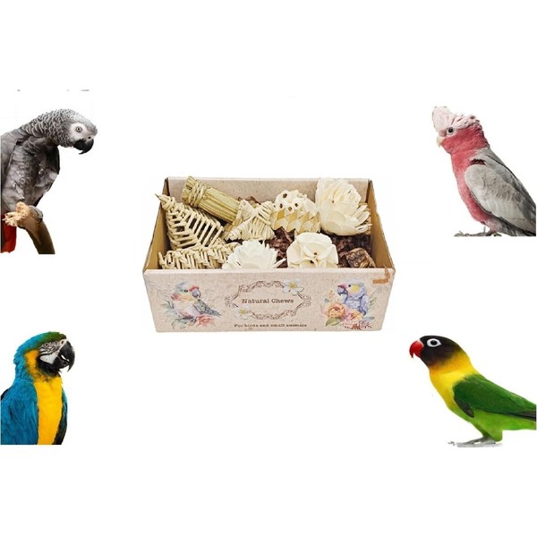 Large Style Bird Toys Box Bird Foraging Shredding Toys Box