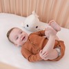 Pabobo Béluga Plush Sleeping Night Light, Multi-Colour and Lullaby and