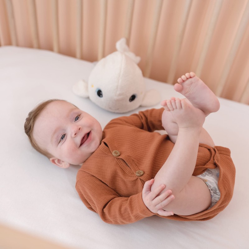 Pabobo Béluga Plush Sleeping Night Light, Multi-Colour and Lullaby and