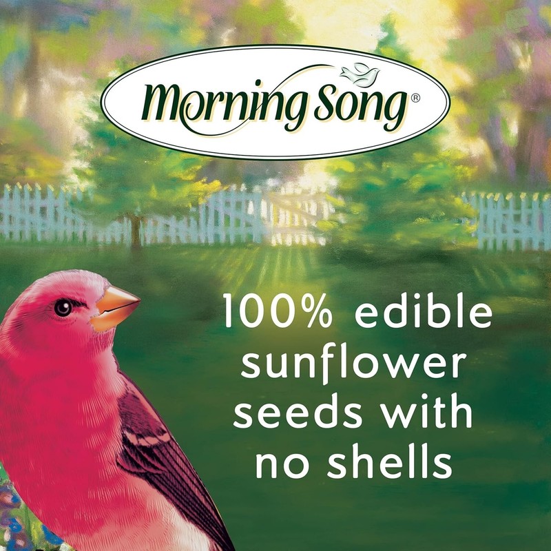 Bird Morning Song Sunflower Hearts & Chips Bird Food, 5.5