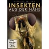 Insekten aus der Nähe